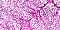 Glitter -  244 hits