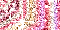 Glitter -  1010 hits
