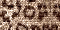 Glitter -  1387 hits