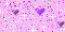 Glitter -  702 hits