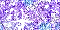 Glitter -  979 hits
