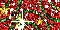 Glitter -  1355 hits