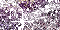Glitter -  290 hits