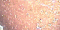 Glitter -  351 hits